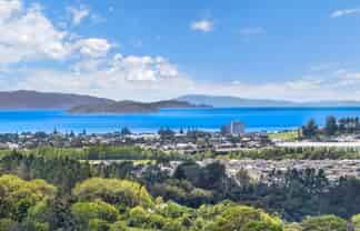 202 Kahikatea Flat Road, Dairy Flat