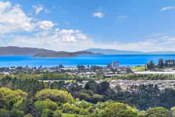 202 Kahikatea Flat Road, Dairy Flat