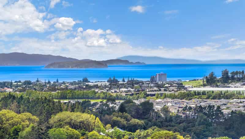 202 Kahikatea Flat Road, Dairy Flat