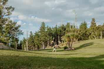 201 Kokako Heights, Matata