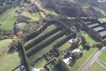 482B Esdaile Road, Whakamarama