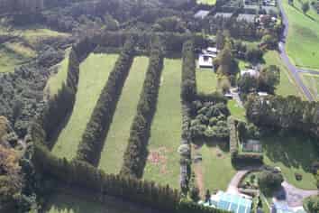 482B Esdaile Road, Whakamarama