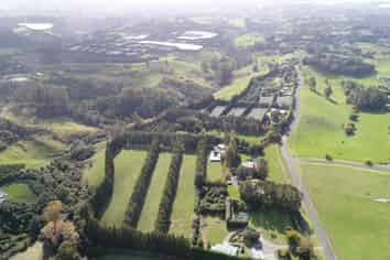 482B Esdaile Road, Whakamarama