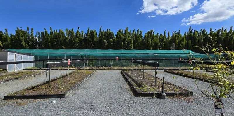  163 Airfield Road, Takanini