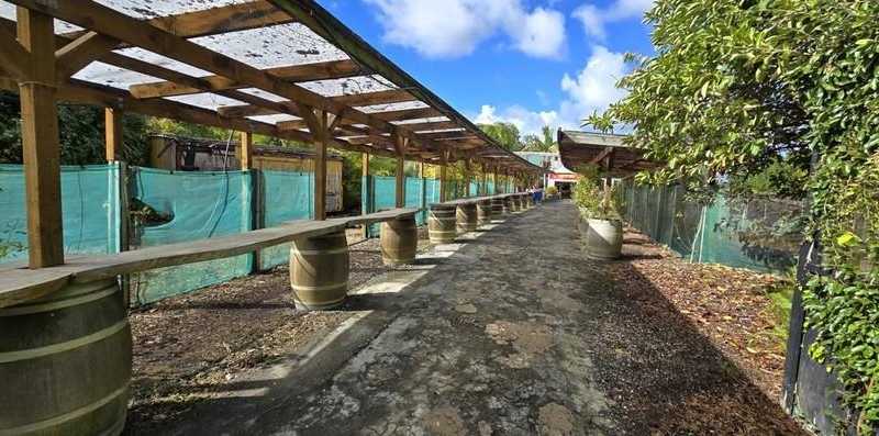  163 Airfield Road, Takanini