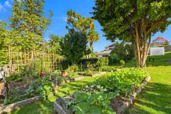 10/16 Willerton Ave, New Lynn