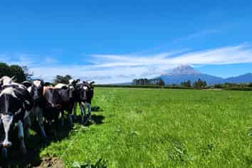 1203A Upland Road, Inglewood