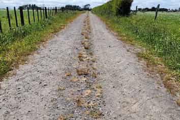 1203A Upland Road, Inglewood