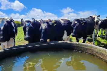 1203A Upland Road, Inglewood