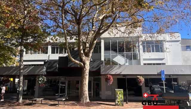 168 Trafalgar Street, Nelson