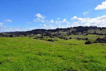  Pine Valley Road, Wainui