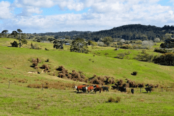  Pine Valley Road, Wainui