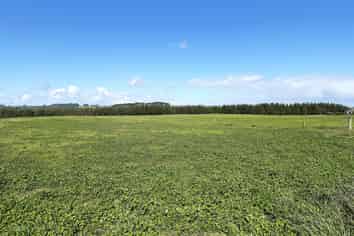 413A Baylys Coast Road, Dargaville