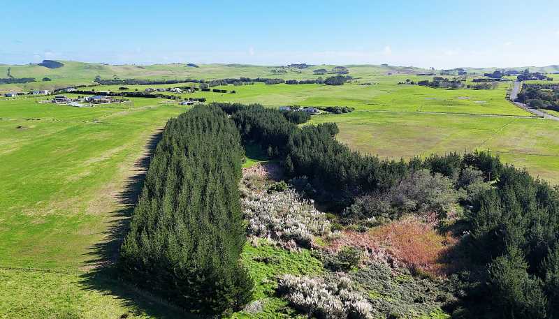 413A Baylys Coast Road, Dargaville