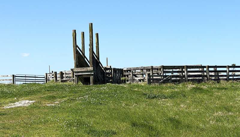 413A Baylys Coast Road, Dargaville