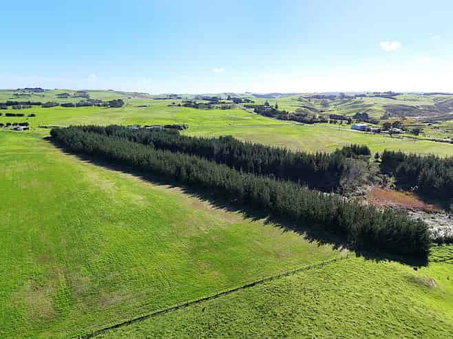 413A Baylys Coast Road, Dargaville