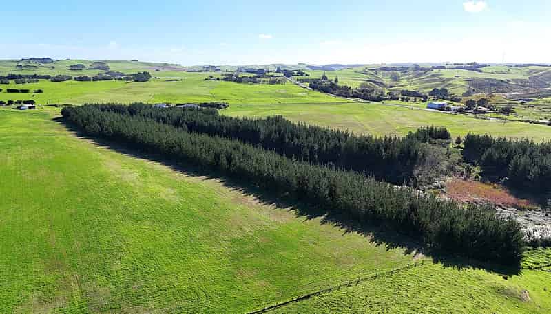 413A Baylys Coast Road, Dargaville