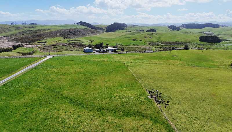 413A Baylys Coast Road, Dargaville