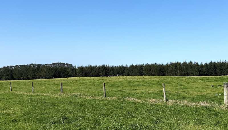 413A Baylys Coast Road, Dargaville