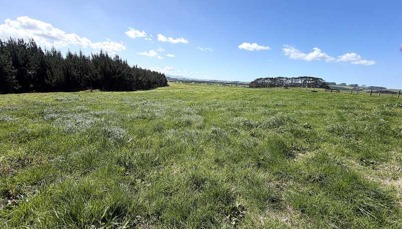 413A Baylys Coast Road, Dargaville