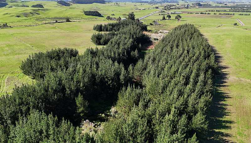 413A Baylys Coast Road, Dargaville