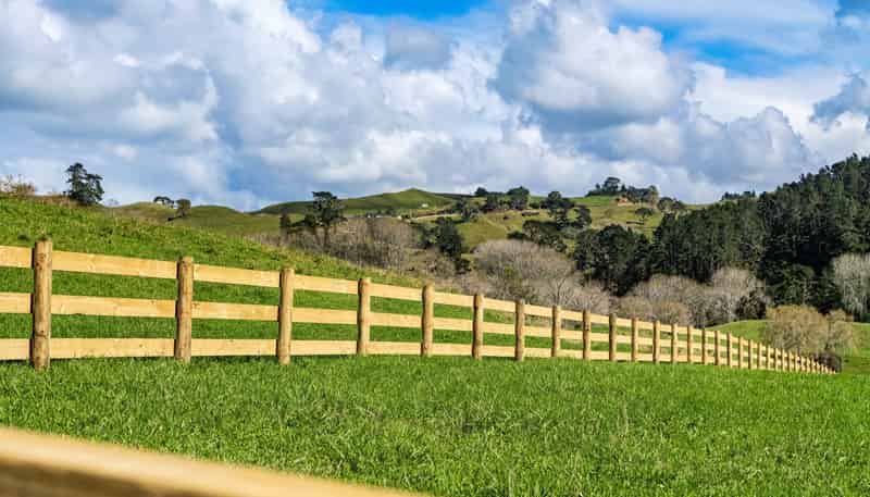 Lot 2,164C Crawford Road, Te Puna