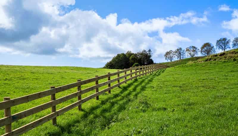 Lot 2,164C Crawford Road, Te Puna
