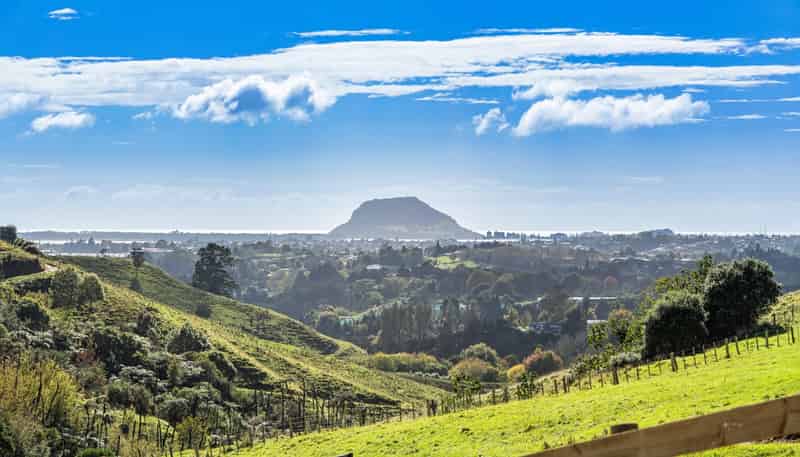 Lot 2,164C Crawford Road, Te Puna