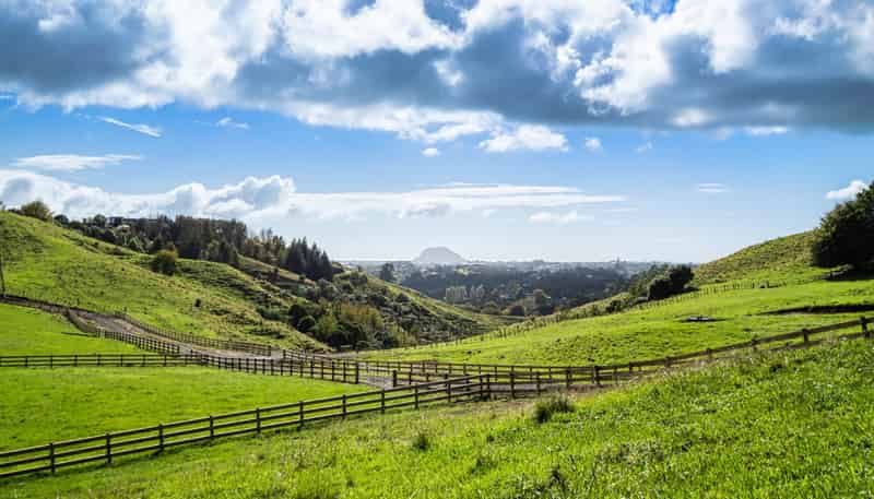 Lot 2,164C Crawford Road, Te Puna