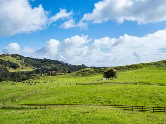 Lot 2,164C Crawford Road, Te Puna