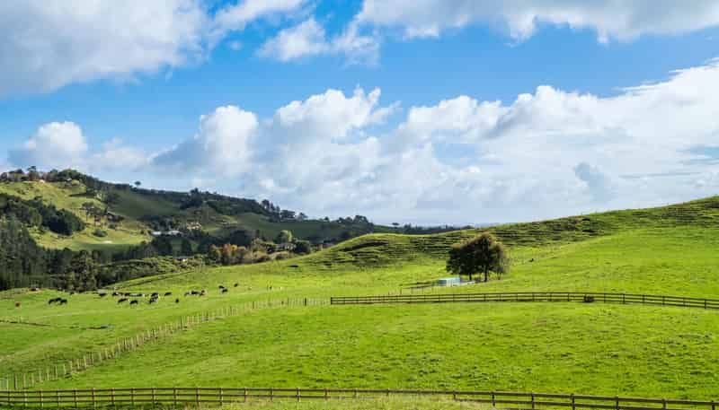 Lot 2,164C Crawford Road, Te Puna