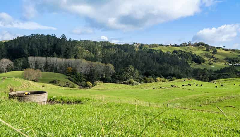 Lot 2,164C Crawford Road, Te Puna
