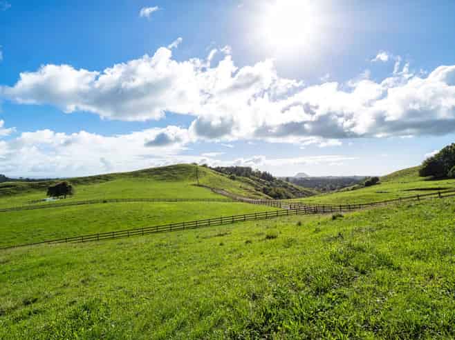 Lot 2, 164C Crawford Road, Te Puna