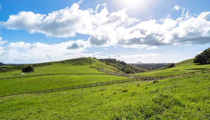 Lot 2,164C Crawford Road, Te Puna
