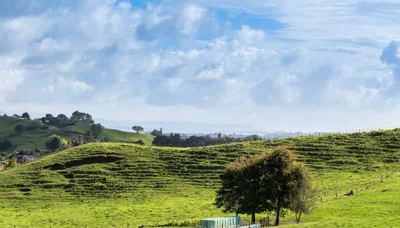 Lot 2,164C Crawford Road, Te Puna