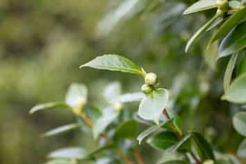 24 Larnach Street, Saint Andrews