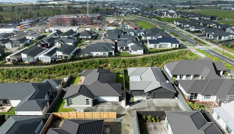 Lot 104 Milldale, Auckland, Milldale