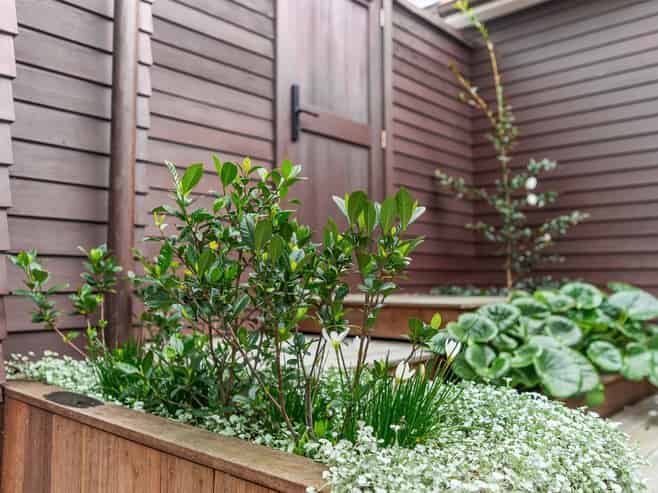 1/69 Princes Street, Northcote Point