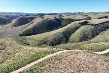 174 McCulloch Road, Awamangu