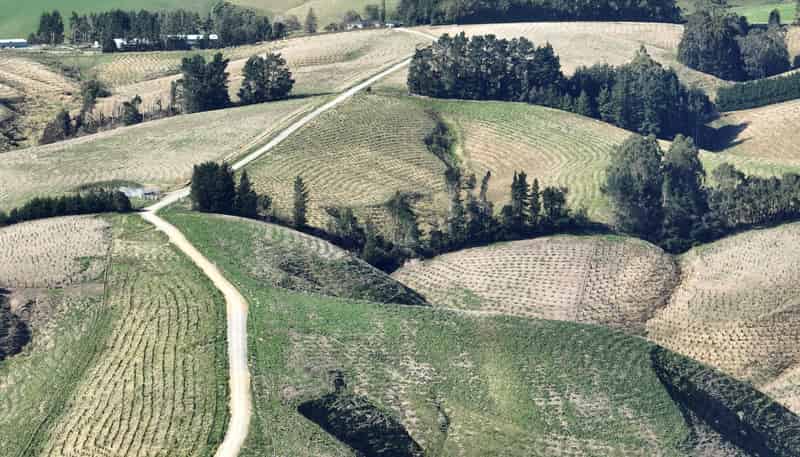 174 McCulloch Road, Awamangu