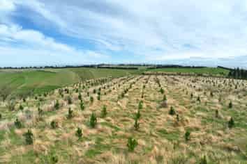 174 McCulloch Road, Awamangu