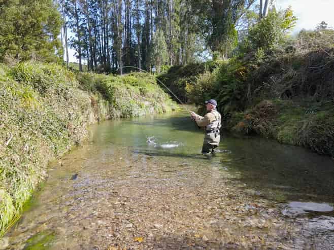 80 Hampson Place, Hamurana
