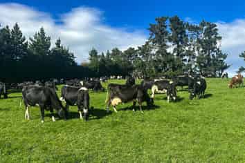 321-349 Chittock Road, Maitland