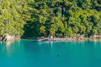 Lot 1 Blackwood Bay, Queen Charlotte Sound