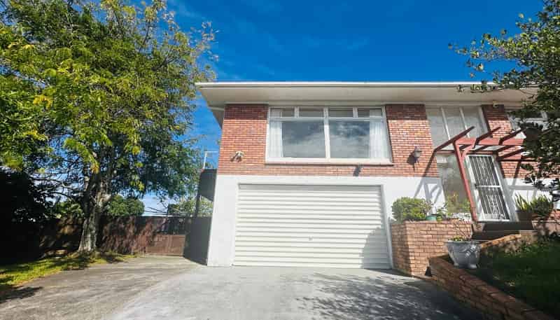 4 Catton Crescent, Mount Roskill