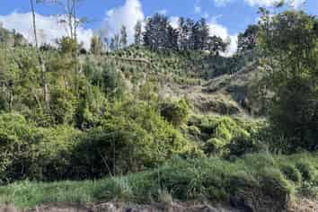 300 Ngapaeruru Road, Dannevirke
