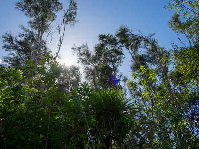 326A Matokitoki Valley Road, Matokitoki