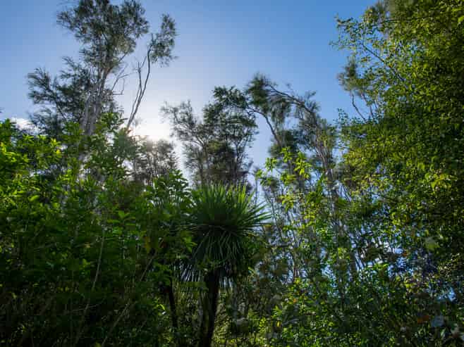 326A Matokitoki Valley Road, Matokitoki