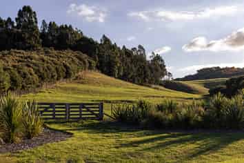  Palliser Downs Drive, Wainui