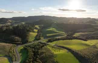  Palliser Downs Drive, Wainui